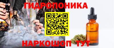 шишки Тула