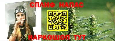ешки Тара